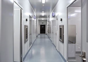 奉贤电子厂与食品厂装修及软件开发 现代产业升级的融合路径